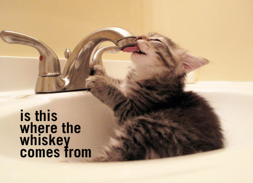 whiskey