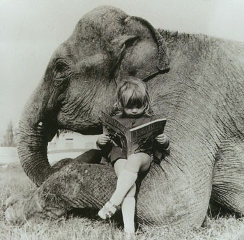 elephant and girl reading