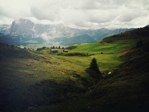 field