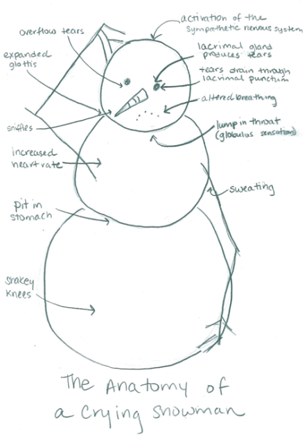 anatomy_of_a_crying_snowman