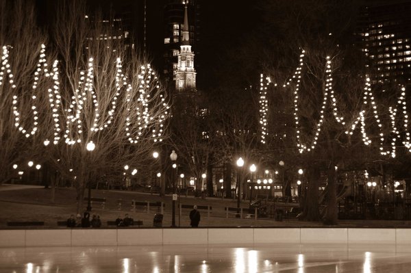 frog_pond