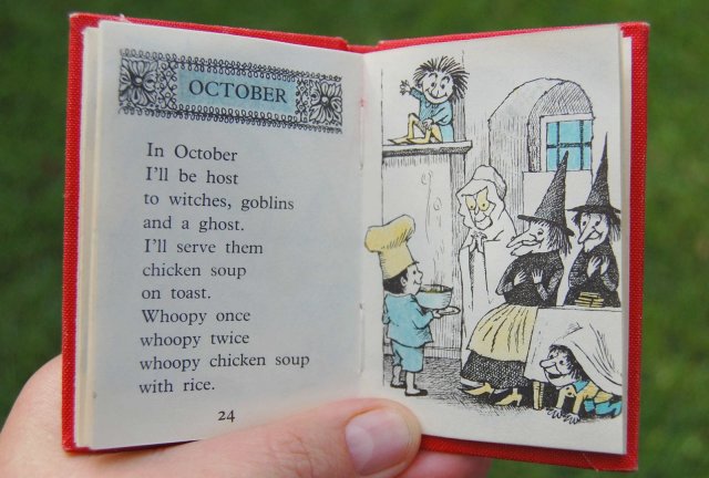 chicken soup