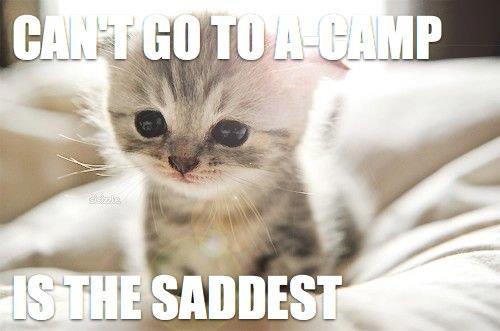 Sad-Camp-Kitten