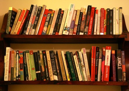 my big fat queer library