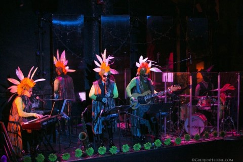 daisy band