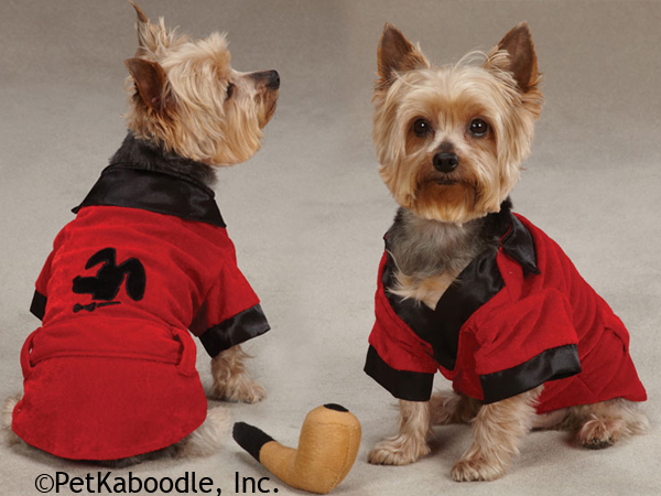 dog smoking jacket