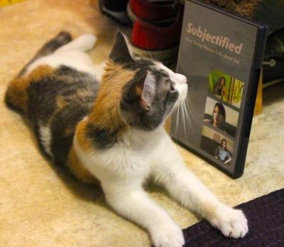 this cat has good taste in documentaries this cat has good taste in documentaries