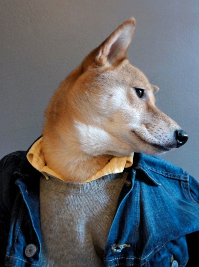 via Menswear Dog