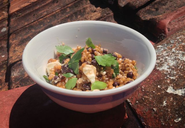 Blood Orange and Wheat Berry Salad