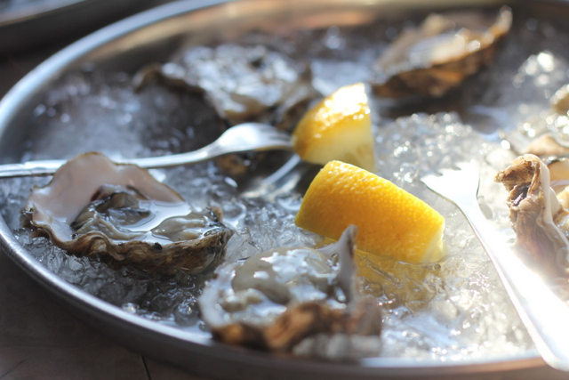 th21 640 glass oysters