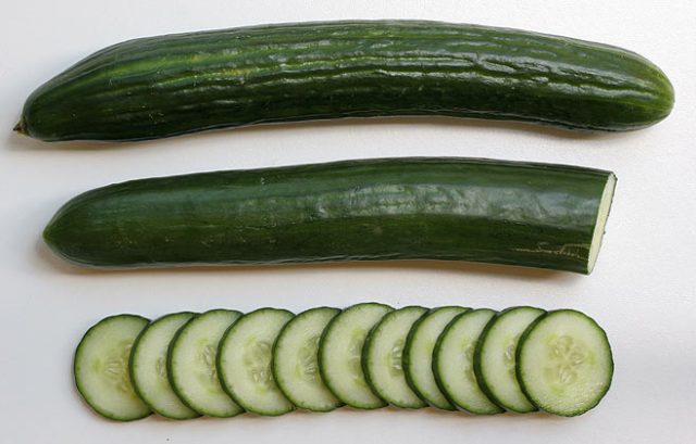 English Cukes via Biodiversity Explorer