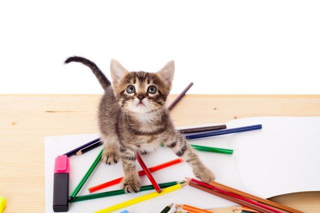 this queer kittie is totally in awe of qu.ee/r magazine but she has to get her shit together and make some art because she's really excited about submitting to such an excellent project