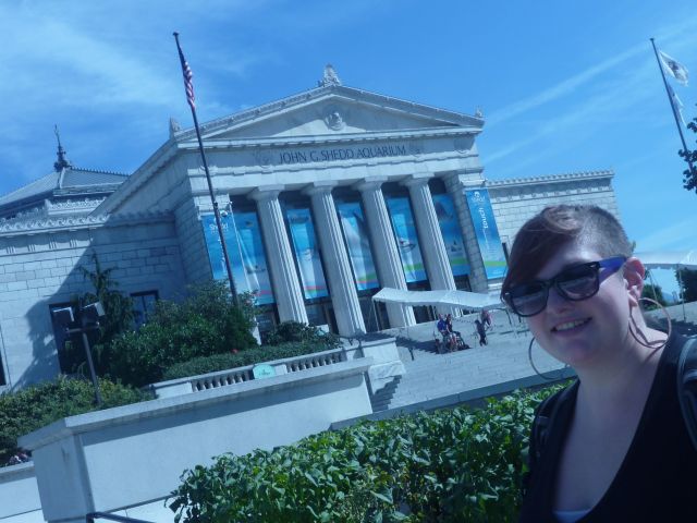 sheddaquarium