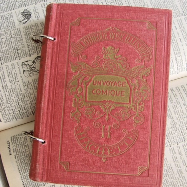 If anything is too beautiful, it’s this gorgeous vintage-y journal (via Too Askew)