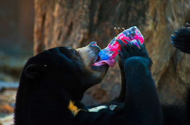 HYDRATION IS REALLY IMPORTANT, ESPECIALLY AT ALTITUDE.