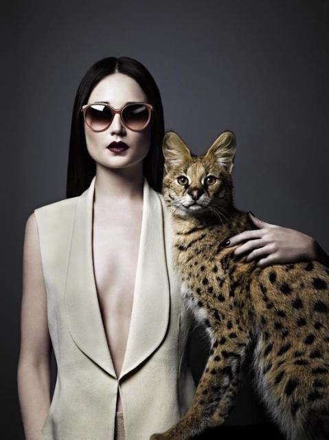 crazy-cat-lady-promo-image