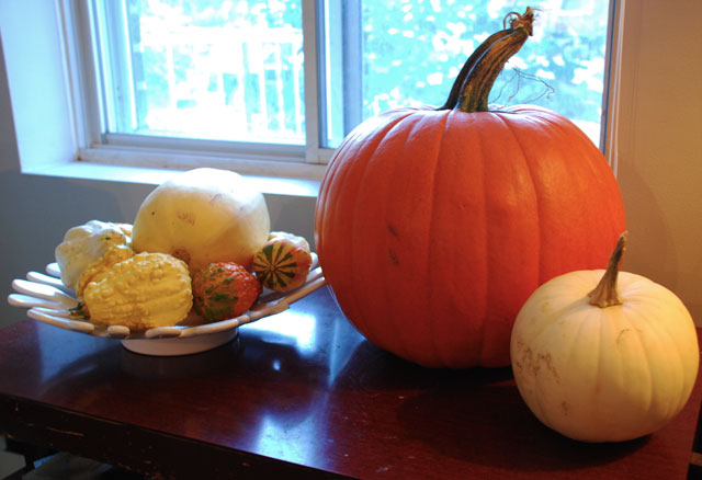 It's always festive fucking gourd season at my house.