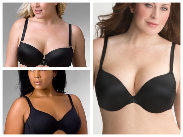 lane bryant_mey