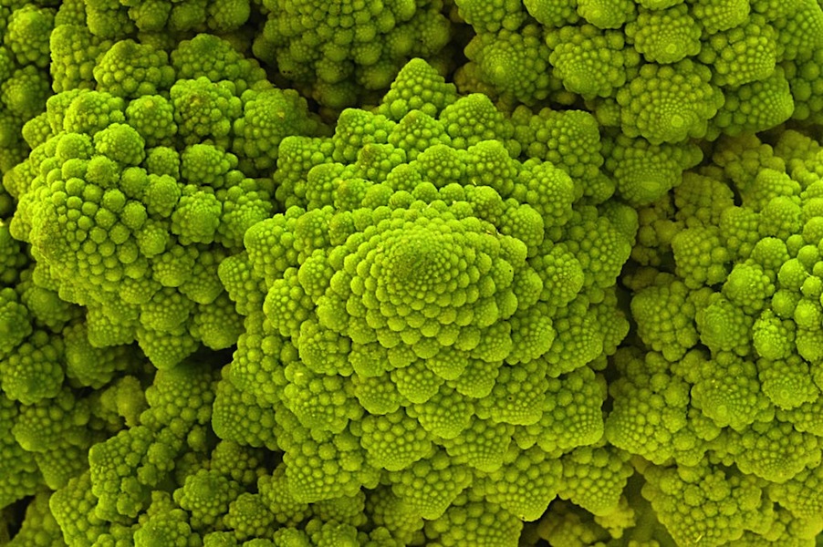 Romanesco Via Fourmilan Fractal Food