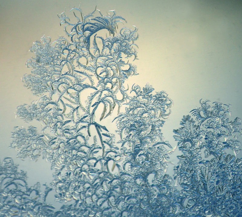 Frost via Draw and Shoot, Karen McRae