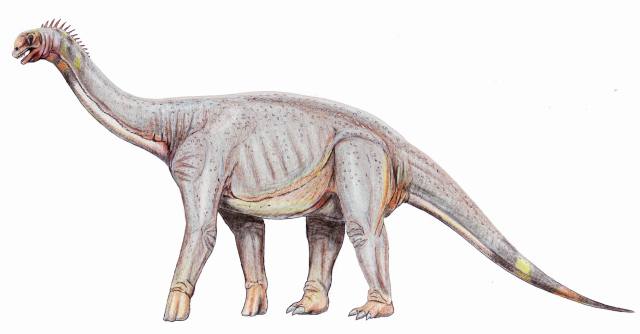 Astrodon, Maryland's State dinosaur.