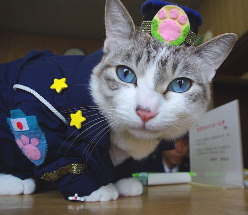 police-cat-2