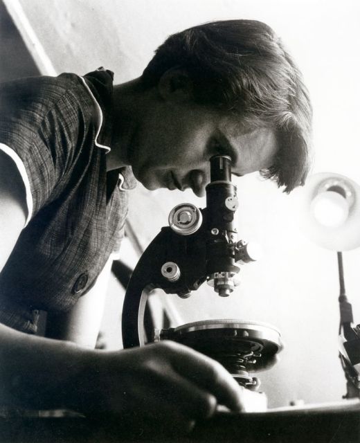 rosalind-franklin