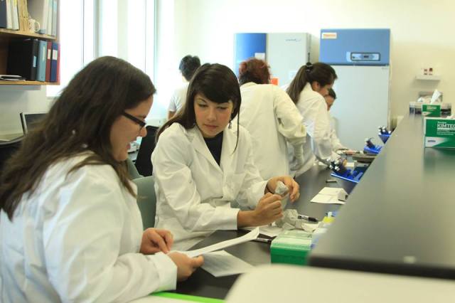 Participants at the Summer Internship for Native Americans in Genomics (SING) lab. Via Huffington Post.