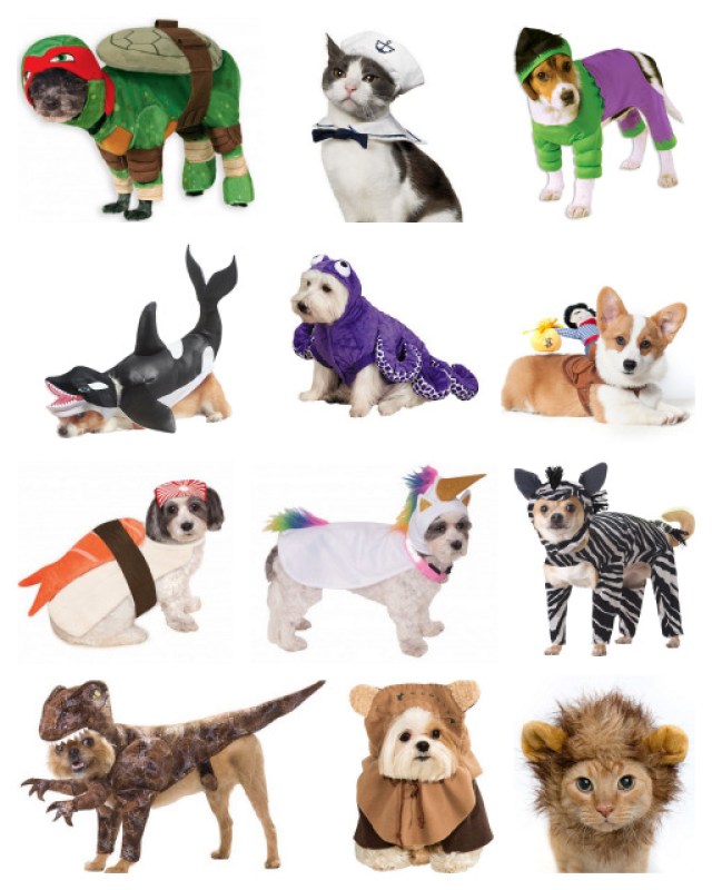 halloween costumes for pets dogs cats