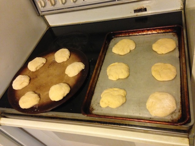 Look at all this unbaked pan dulce! So much potential!