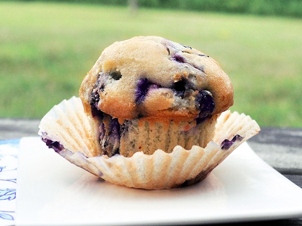 vegan-blueberry-muffin_thumb