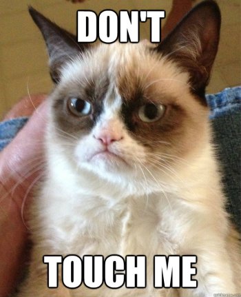 grumpy cat don't touch me