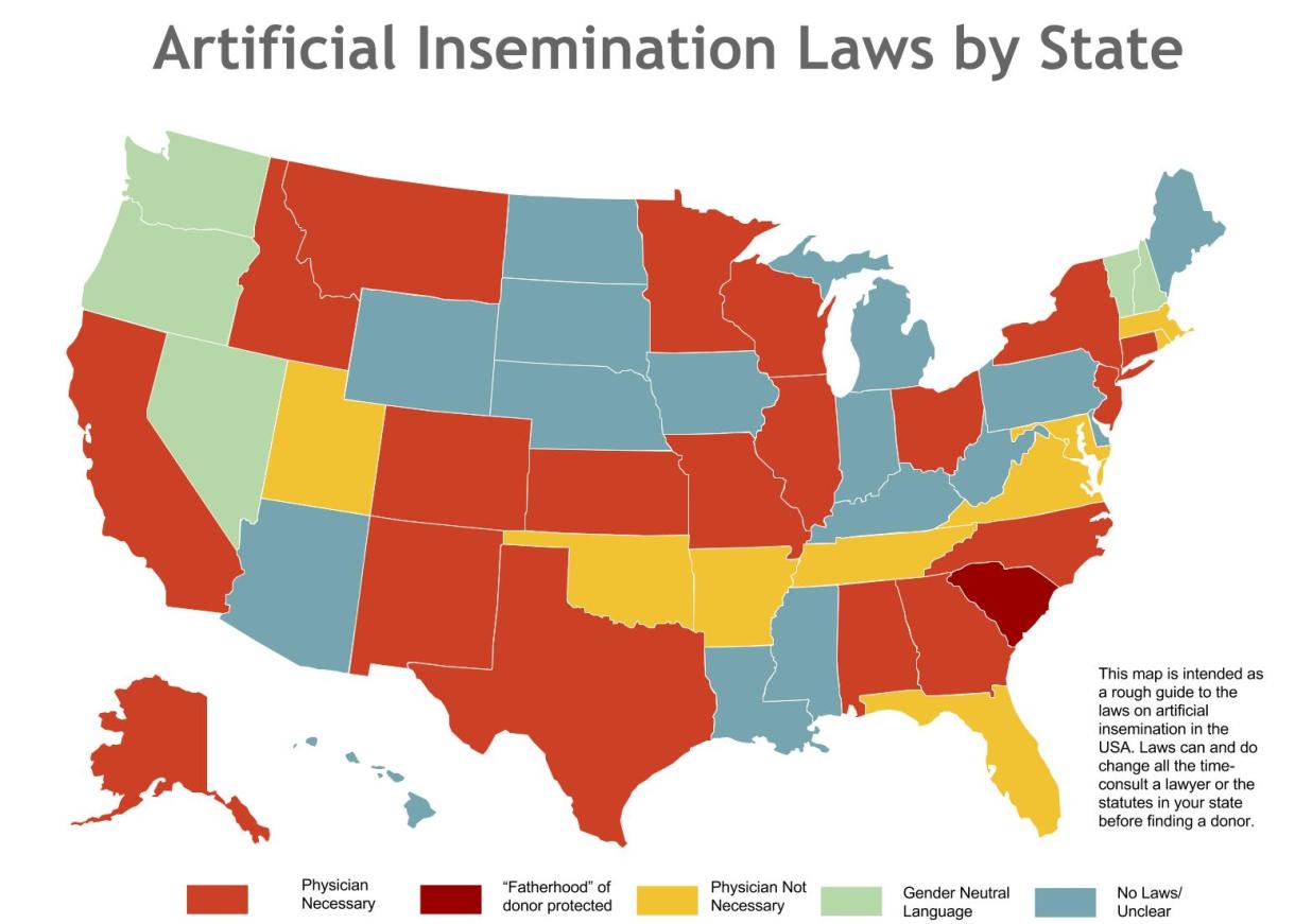 InseminationInTheStates