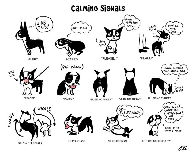 CalmingSignals