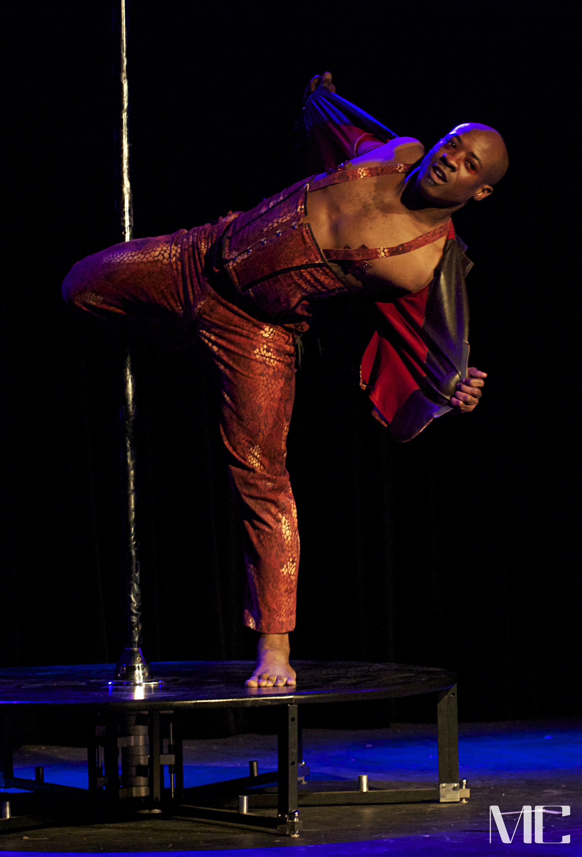 RayGunn_pole