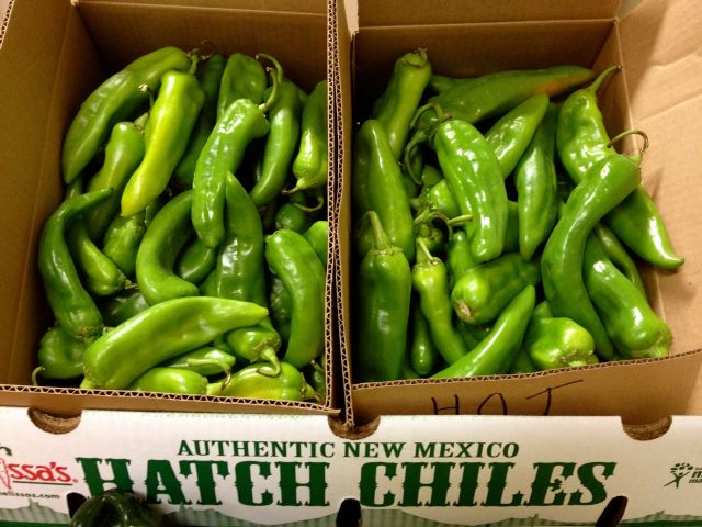 Hatch-chiles