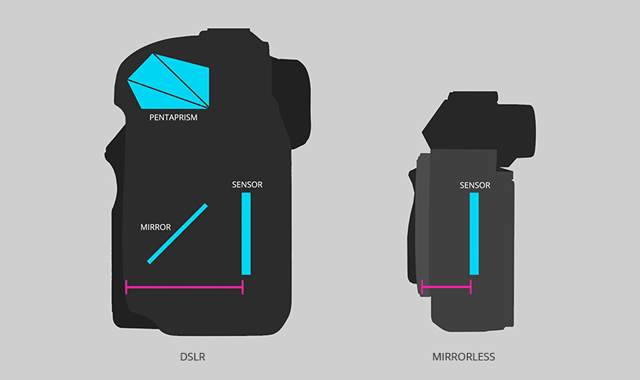 via B&H Photo Video (click through for a more comprehensive comparison among camera types)