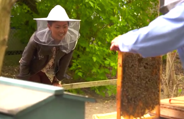 Kristen meets some bees at the hip urban farm, Princess Garden