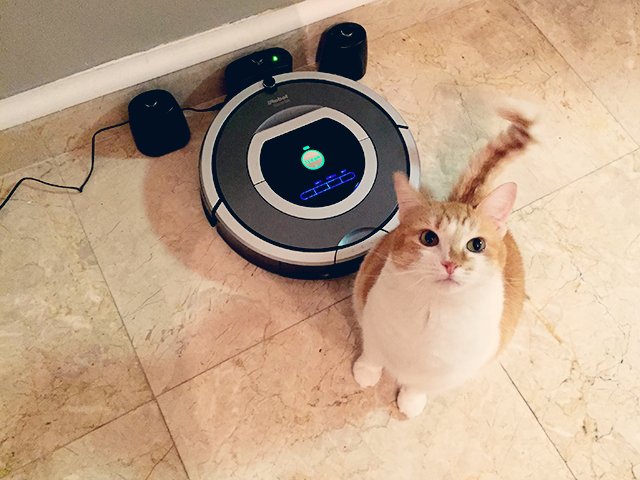 We’re All About It: Roomba Is The WALL-E To My EVE, I Just Want to Hold His Hand
