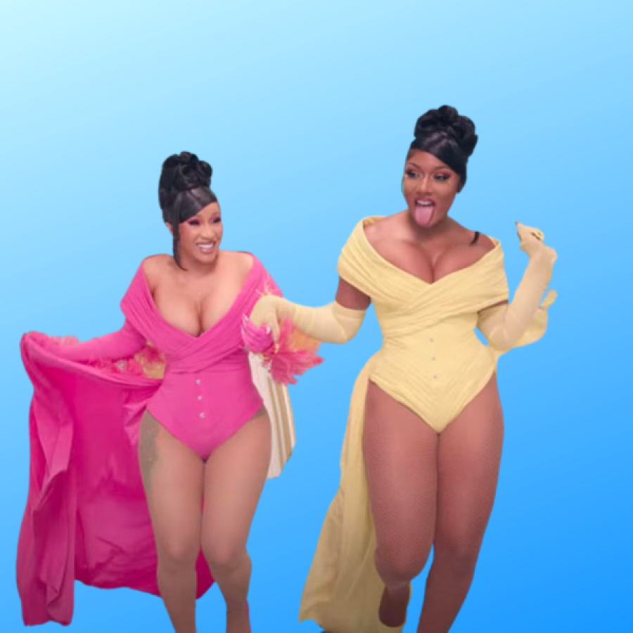 cardi b and megan thee stallion halloween costume