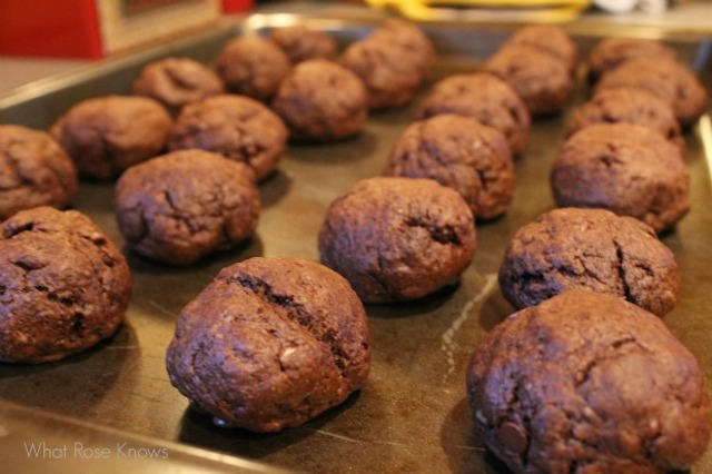 Italian Chocolate Cookies (AKA Dudus or Tetus)