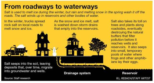 From roadways to waterways. Salt is used to melt ice during the winter, but rain and melting snow in teh spring wash it off the roads. The salt winds up in reservoirs and other bodies of water. Salt seeps into the soil, leaving deposits that, over time, migrate into groundwater and wells. In the winter, trucks spread rock salt on local roads to melt snow and ice. Drainage system. As the snow and ice melt, salt is washed down storm drains that empty into the reservoirs. Reservoir. Salt also takes its toll on trees and plants along roadsides, eventually destroying the natural buffers that filter pollution before it reaches wells and reservoirs. It also seeps into small, temporary pools of water where frogs and other amphibians lay their eggs. Source: staff research. R.L., REBACK/STAFF ARTIST.