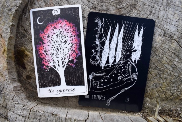 The Wild Unknown Tarot, the Wanderer's Tarot