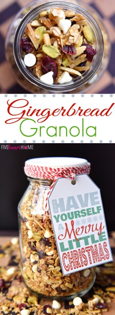 01-gingerbread-granola-with-cranberries-pistachios-white-chocolate-chips-by-five-heart-home_700pxcollage