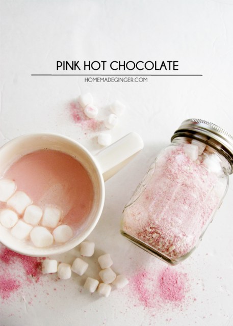 18-homemade-hot-chocolate-mix