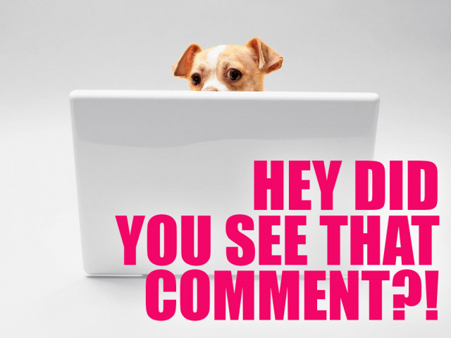 A puppy peeking over a laptop saying "hey, did you see that comment?"