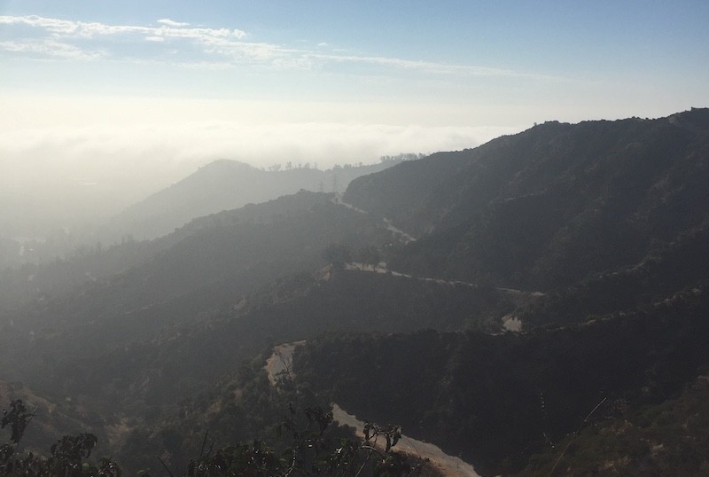 griffith park