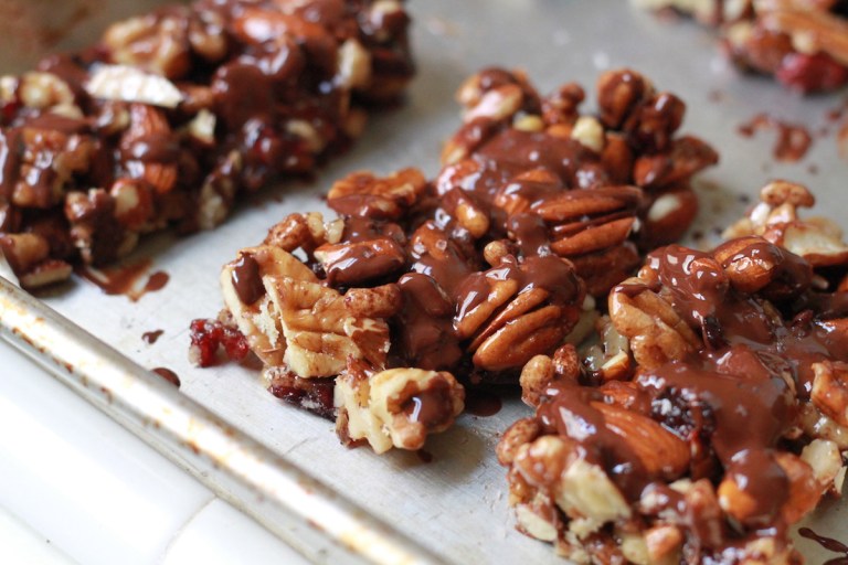 Femme Brûlée: Dark Chocolate Sea Salt Cranberry Nut Bars