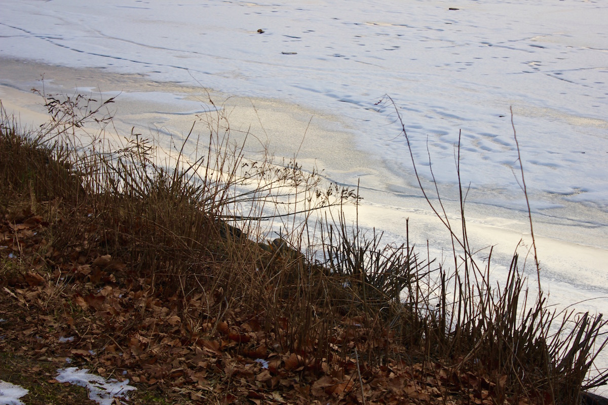 Frozen water covered in snow.