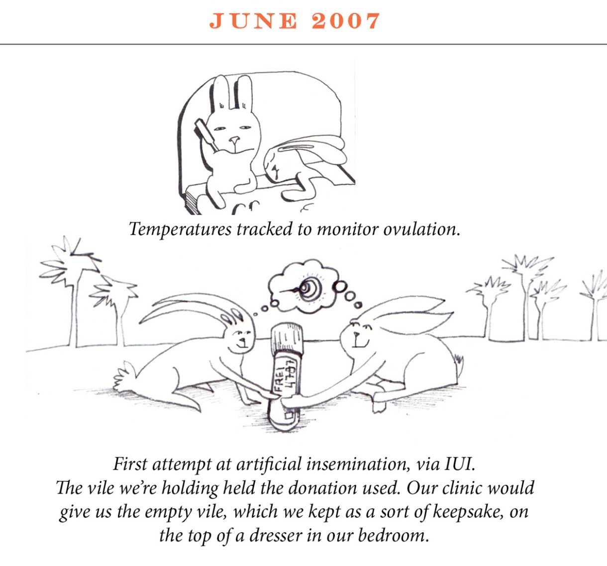 June 2007 Image description: The two rabbits are in their bed. One sleeps soundly and the other is sitting up against the headboard with a thermometer in her mouth, looking tired. Caption: "Temperatures tracked to monitor ovulation." Image description: The rabbits smile at each other, each with one hand on the vile that once held the sperm that was used. They share a thought bubble with an image of insemination. Caption: "First attempt at artificial insemination, via IUI. The vile we’re holding held the donation used. Our clinic would give us the empty vile, which we kept as a sort of keepsake, on the top of a dresser in our bedroom."